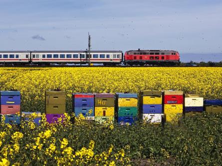 普貨運(yùn)輸 普貨運(yùn)輸